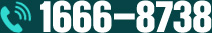 상담문의:1666-8738